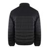 Ice Iceberg Mens Plain Padded Jacket