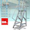 Aluminum Alloy Mobile Platform Ladder