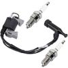 Катушка зажигания для генератора Generac 0G84420150 005939-0 005939-2 005939-6 005940-0 005941-0 005940-2 005941-3 006001-0 006673-0