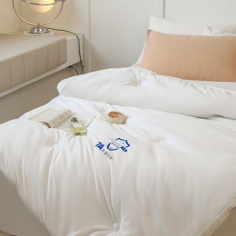 Southern Life 7A Antibacterial Viscose Fiber Winter Quilt