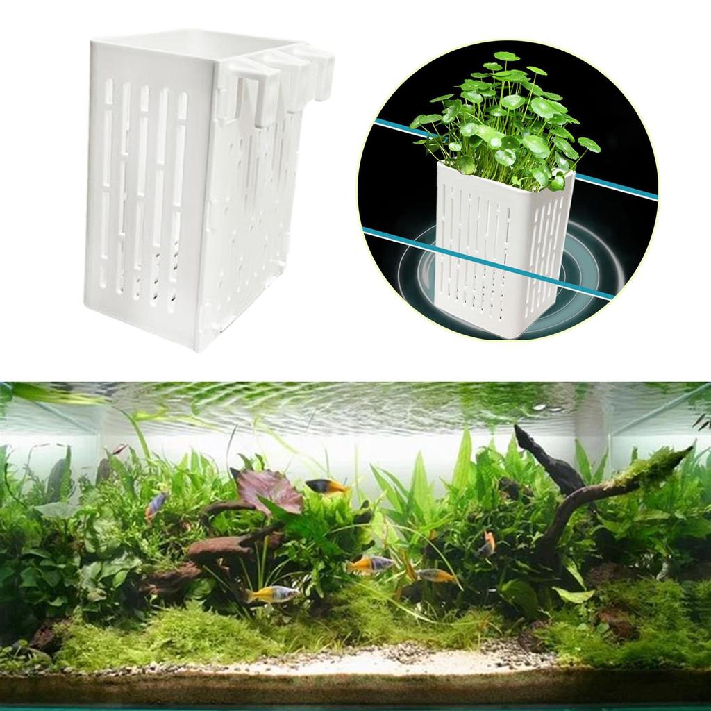 Aquarium Plant Holder Fishes Tank Hanging Planter for Aquascape Decoration