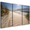 Three Piece Picture Canvas Print Beach Sea Dunes Nature