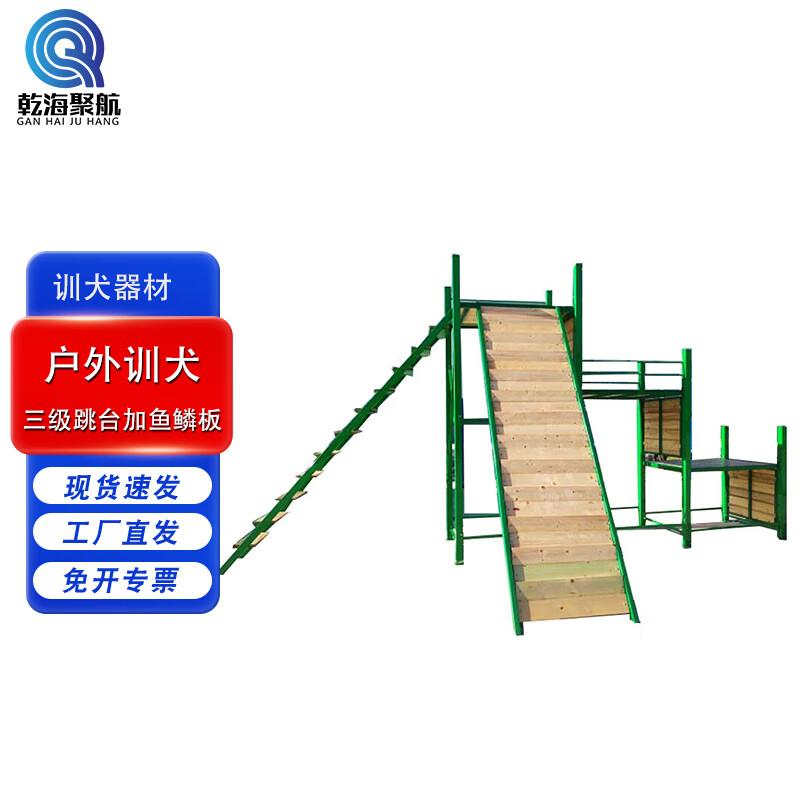 Professional Outdoor Dog Training Equipment