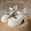 Small Leather Shoes Women's Spring and Autumn New Platform Muffin Cm Mary Jane Thick Heel High Heels Single Shoes