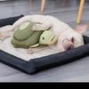 Черепаха Игрушка для нюхания Игрушка для собаки