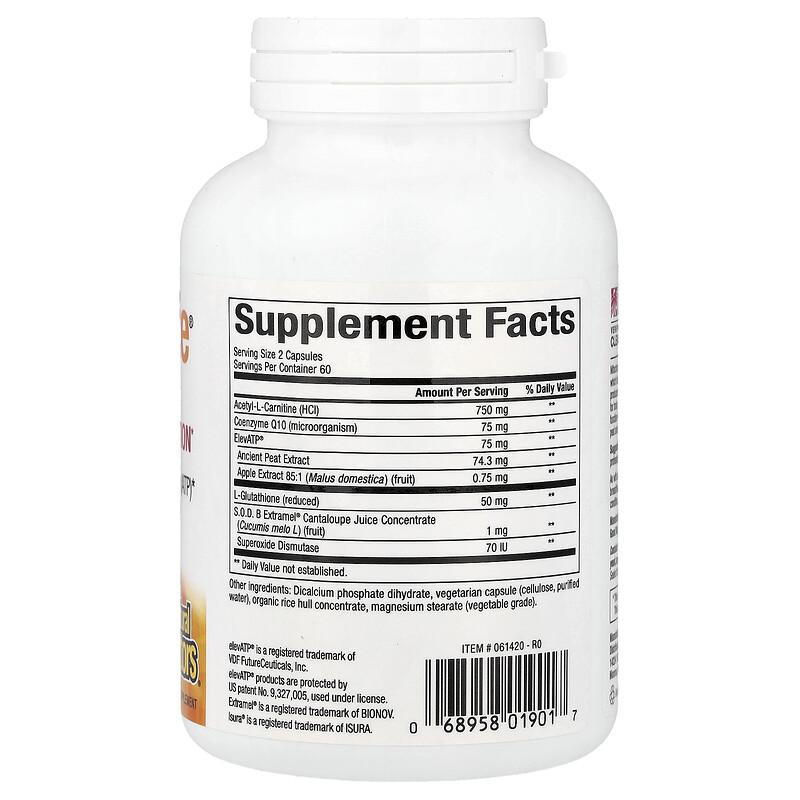 RegenerLife®, Optimize Mitochondrial Function, 120 Vegetarian Capsules