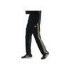Taekwondo Logo Side Stripe Elastic Retro Sports Casual Pants Unisex Bottoms Black Gold TR30PT-BG