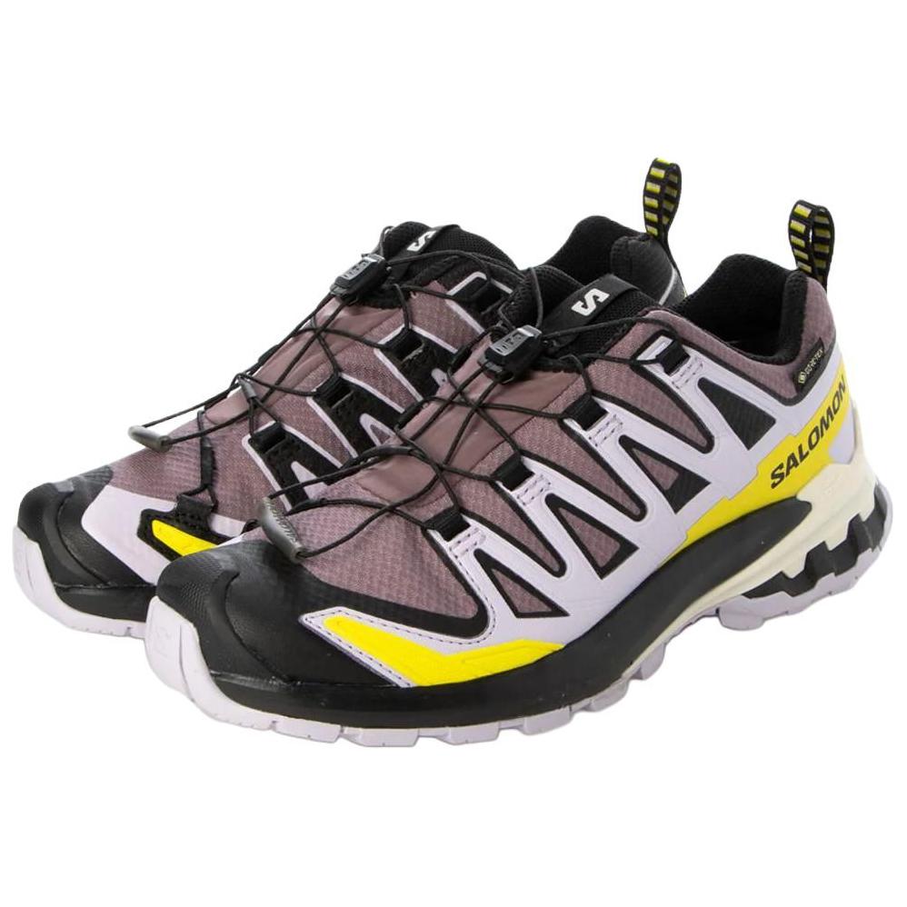SALOMON Женские кроссовки XA Pro 3D V9 GORE-TEX Moonscape Orchid Petal Sulphur Серые L47469500
