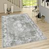 Washable Printed Carpet RVGHOME1228