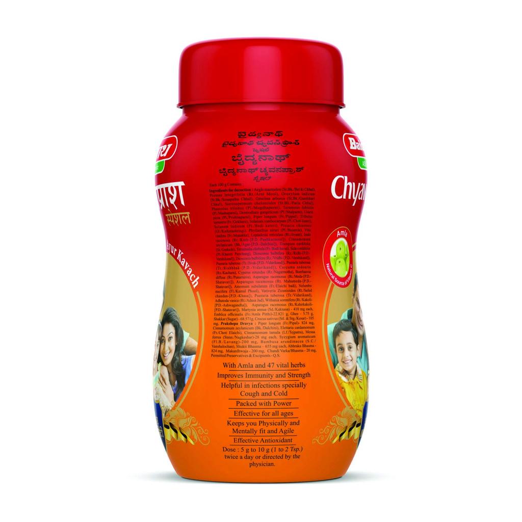 Baidyanath Chyawanprash Special 500 G | Herbal Immunity Booster With Pure Ghee And Amla | Daily Energy And Wellness Support For All Ages