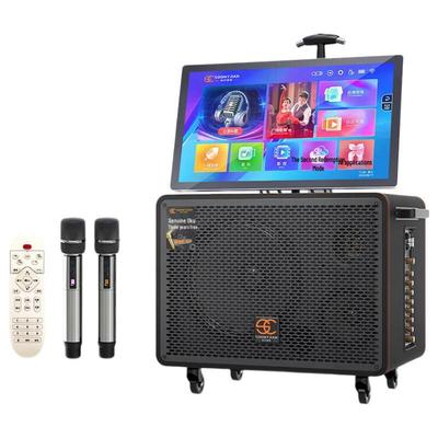 KTV Karaoke Динамик Songchuan International SA20-11 Штекер CN (адаптер в комплекте) (Китайская версия)