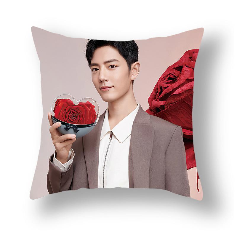 Наволочка с принтом знаменитости, Рекламная наволочка для дивана, прикроватная подушка