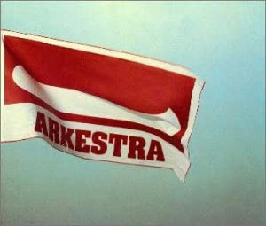 CD TOKYO SKA PARADISE ORCHESTRA ARKESTRA AVCD11667 avex trax 1998 Japan Japanese PopRock Used