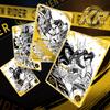 In Stock Card Game Kamen Rider Heroes Duel Double Rider 15th Anniversary Edition Genuine Peripheral Battle Card Collection Gift