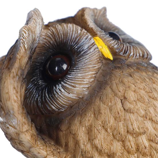 Подглядывающая сова Творческий яркий подглядывающий высококачественный милый орнамент для улицы