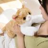 Cat Doll Sleeping Pillow Girls Accompanying Doll Cute Simulation White Kitten Plush Toy