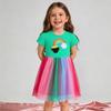 Платье-принцесса с вышивкой в виде радуги для девочек Вязаный хлопковый тюлевый юбка для маленьких детей