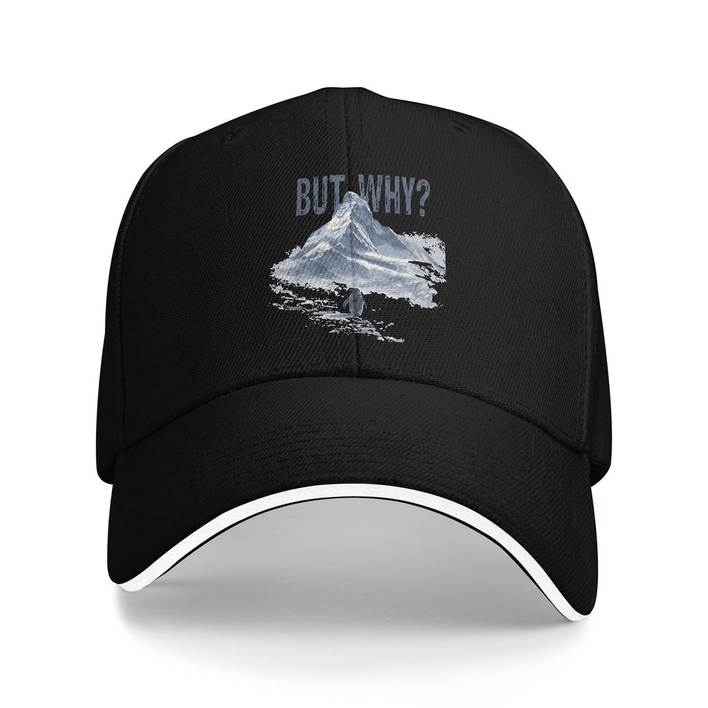 Nihilist Penguin But Why meme Sun Baseball Cap  Summer Fashion Trucker Hat For Unisex Unisex Kpop Rock Snapback Cap