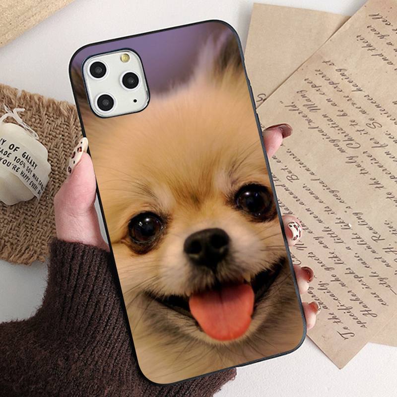 Чехол для телефона MaiYaCa Pomeranian dogs для iPhone 11 12 13 mini pro XS MAX 8 7 6 6S Plus X 5S SE 2020 XR