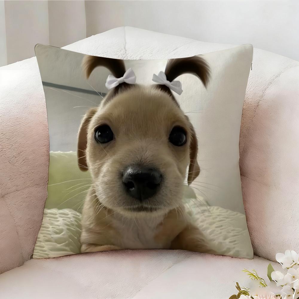 Dog Funny Meme Pillow Case Pillowcase, Double-Sided Printed, Sofa Cushion, Bedroom Headboard Pillow