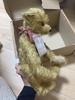 [USED] Antique Teddy Bear