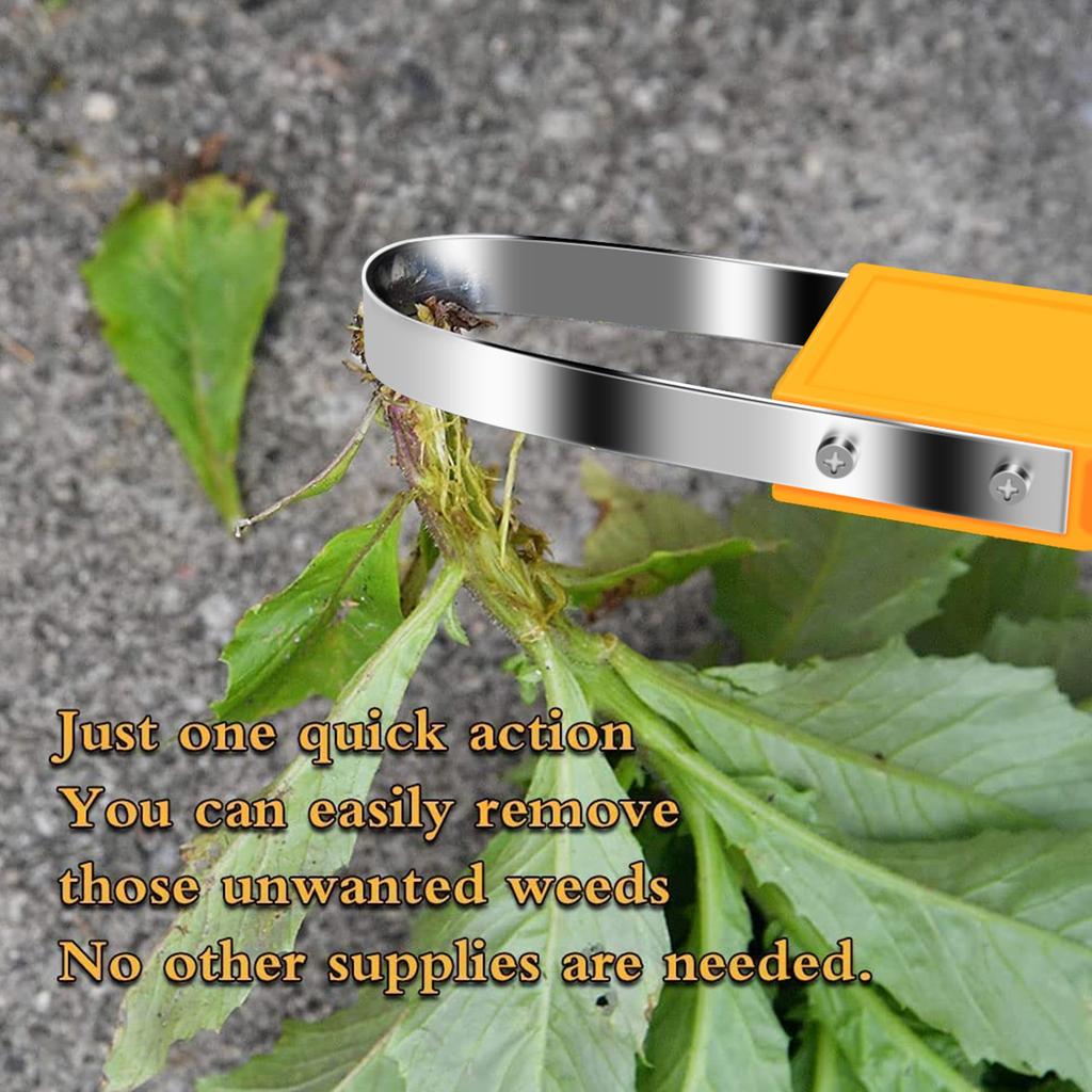 Hand Loop Weeder Tool Garden Metal Loop Design Manual Weeders Tool With Plastic Handle For Weeding