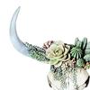 Настенное украшение Красивый декоративный смоляной суккулент/цветок Череп коровы Подвеска для комнаты
