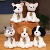 Simulation Cartoon Husky Schnauzer Chihuahua Dog Plush Toy Children Doll Gift