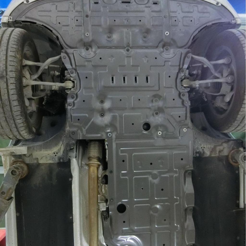 Защита двигателя и шасси Hyundai MuSa Reina/I30