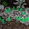 62KD 15pcs Miniature Frogs with Luminous Effect Green Resins Glow In Dark Frogs Figurines Figures for Garden Landscape Decors