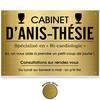 [R1429] - Профессиональная юмористическая металлическая табличка 'Anis-thésie', золото - 33x22 см