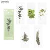 Note Marker Leaf Vein Specimen Bookmarks Bookmarks Card Nature Plants Bookmarks Translucent Flower