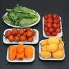 Disposable Fresh Food Packaging Trays