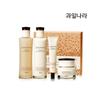 Essential Collagen Repairing Skincare 4-Piece Set