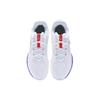 Li Ning 2 Текстиль, Синтетическая кожа Удобная амортизация Нескользящая Устойчивая к истиранию Низкие Бадминтонные кроссовки AYTS016-8