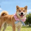Comfortable Dog Collar Plaid Pattern Cat Neck Wear Pet Accessories Pet Cat Scarf  Take Photos