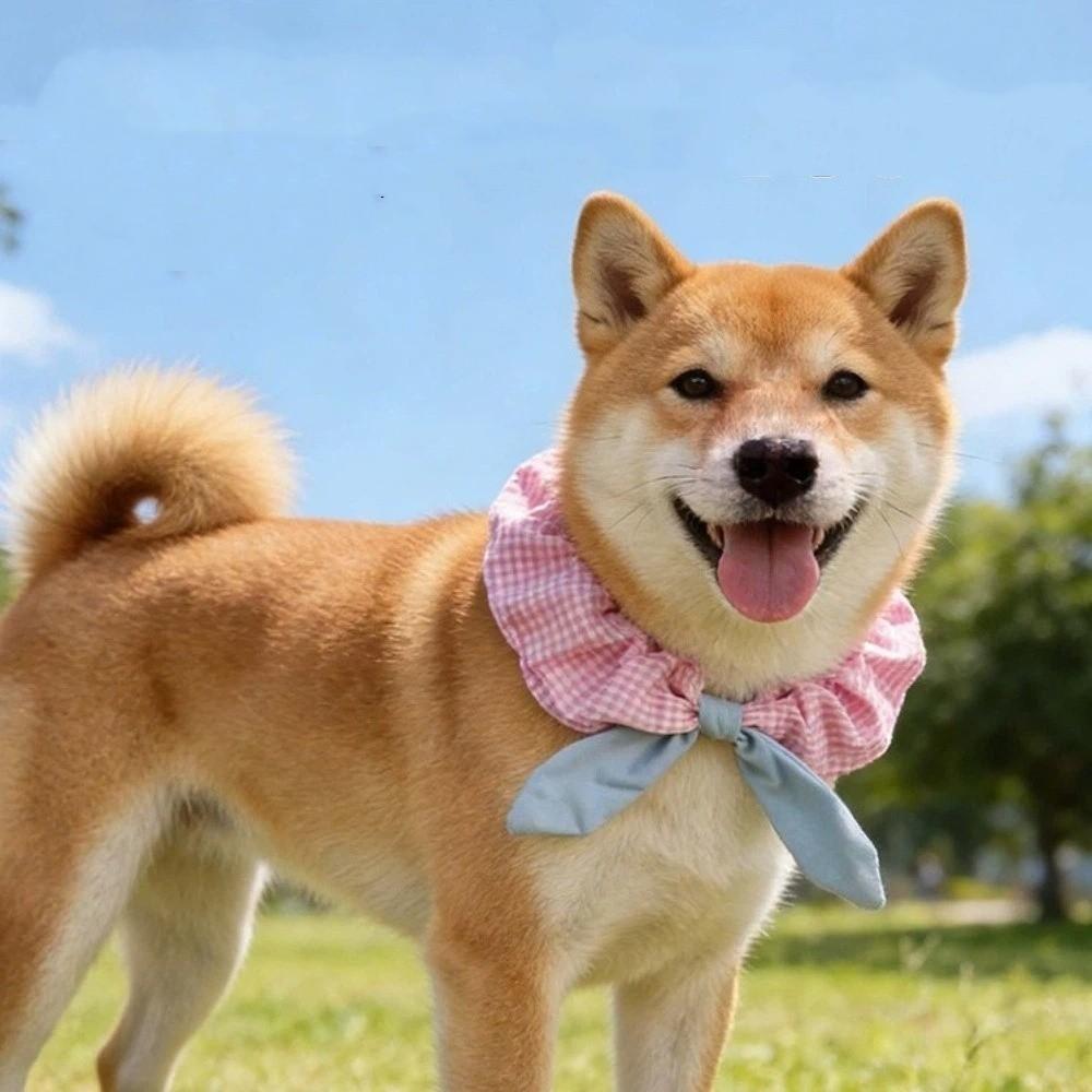 Comfortable Dog Collar Plaid Pattern Cat Neck Wear Pet Accessories Pet Cat Scarf Take Photos