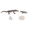 4 Pcs Lizard Life Cycle Toy PVC Realistic Educational Reptile Animal Growth Cycle Toy