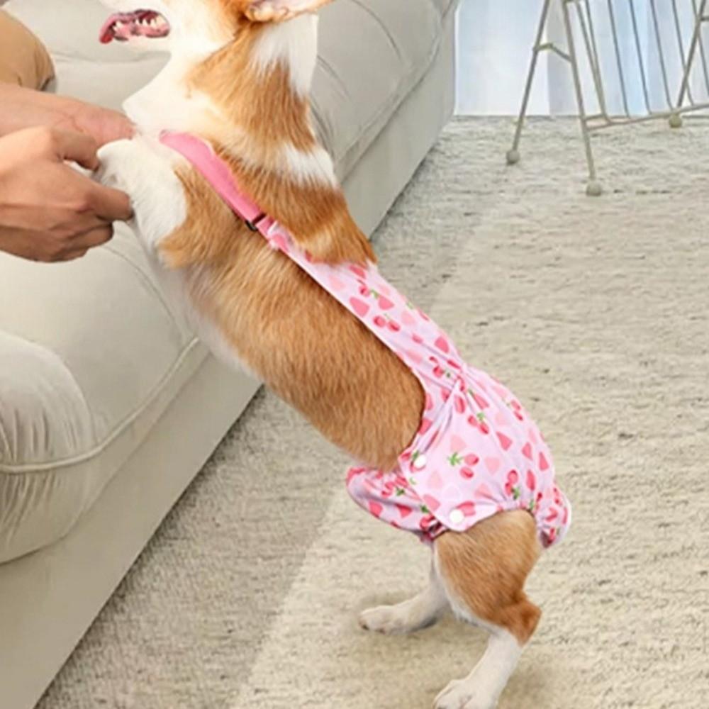 Breathable Pet Sanitary Pants Washable Dog Menstrual Panties Anti-harassment
