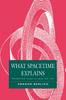 The What Spacetime Explains : Metaphysical Essays On Space and Time Book