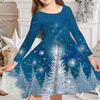 Spring Girl Casual 3D Blue Snowflake Print Round Neck Long Sleeve Dress Kid Princess Dress for Christmas