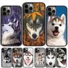 Чехол-ракушка для телефона iPhone 17 Air 15 16 14 13 12 Pro Max 11 Pro Max Plus с изображением собаки Сибирский Хаски