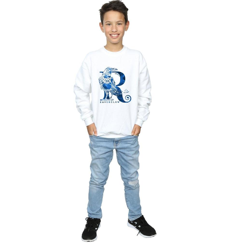 HARRY POTTER Boys Ravenclaw Raven Sweatshirt