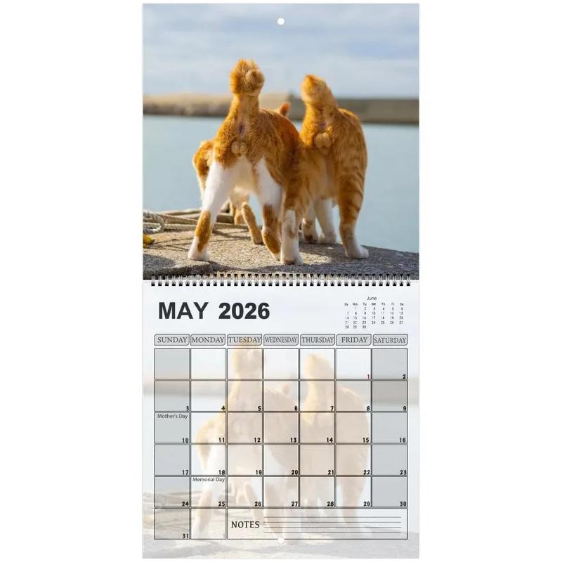 2026 Cat Butt Calendar 12 Monthly Funny Cat Tail Wall Calendar Family Planner Scheduling Tool For Living Room Bedroom
