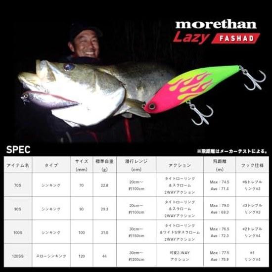 Daiwa Seabass Lure Morethan Rage Shad Various Types