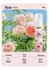 360ml Long-lasting Aroma Spray - Home & Bathroom Odor Eliminator