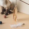 [Домашнее животное] Набор из 3 предметов: удочка для кошки и сменная насадка для декора