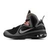 LeBron 9 Месяц Черной Истории 530962-001