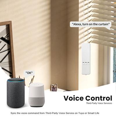 WiFi Tuya Smart Electric Blind Driver Motorized Chain Roller Timer With RF Remoteer Alexa Google Assistant Voice Control