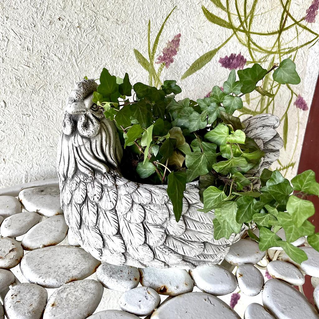 Concrete flowerpot gray decorative hen